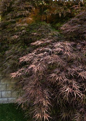 1252 Mansfield Avenue NE, Atlanta, GA 30307