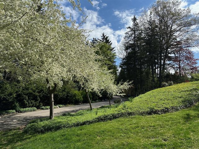 445 Huntington Drive, Ann Arbor, MI 48104