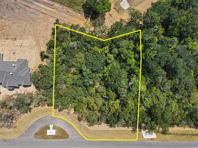 9734 Lakeside Oaks Drive Drive, Plantersville, TX 77363