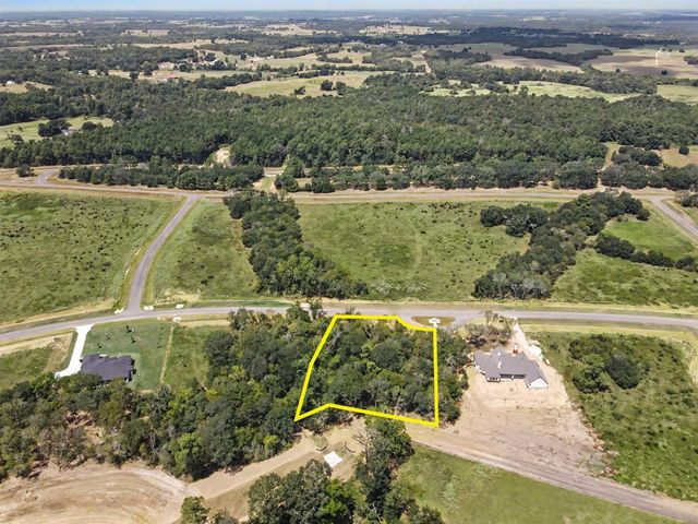 9734 Lakeside Oaks Drive Drive, Plantersville, TX 77363