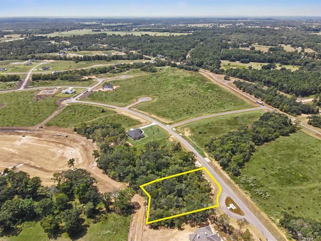 9734 Lakeside Oaks Drive Drive, Plantersville, TX 77363
