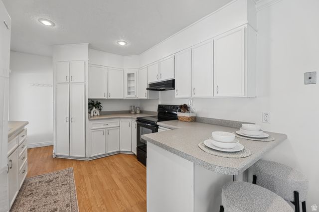 1147 E RIDGEDALE CIR, Millcreek, UT 84106