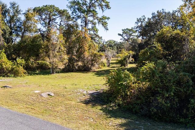 LOT 30 TROTTING HORSE LN, Tavares, FL 32778