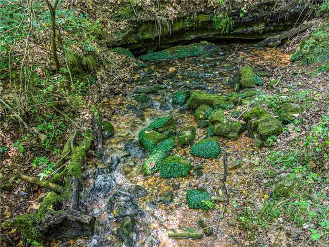22365 N Log Cabin Drive, Sulphur Springs, AR 72768