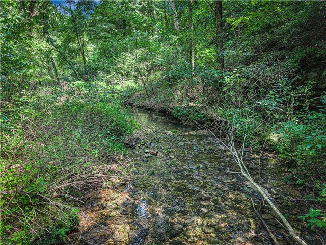 22365 N Log Cabin Drive, Sulphur Springs, AR 72768