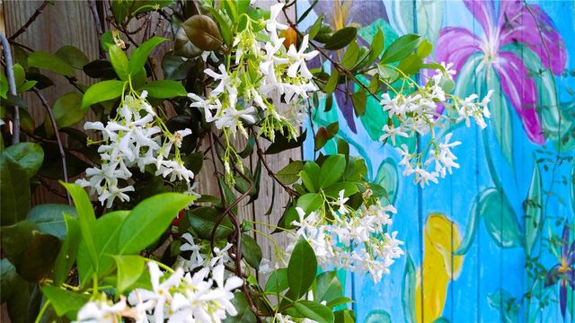 5935 30TH AVENUE S 312, Gulfport, FL 33707