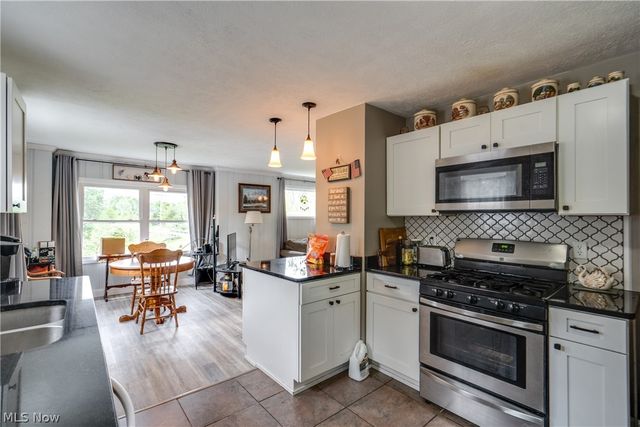 1682 S County Line Road, Geneva, OH 44041