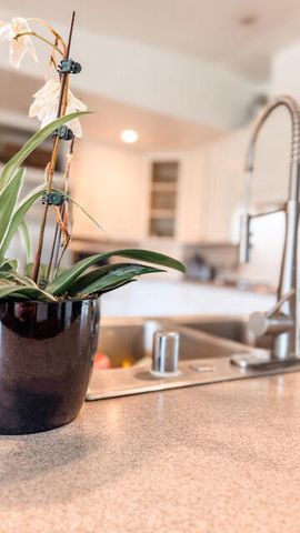 31338 Dahlem Drive, Exeter, CA 93221