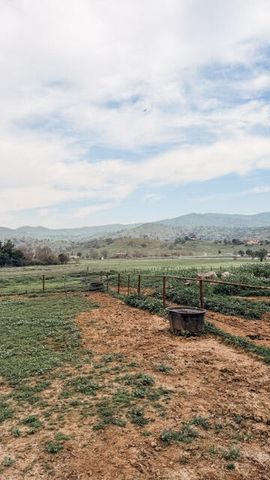 31338 Dahlem Drive, Exeter, CA 93221