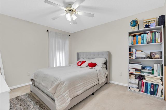 19714 WYNDHAM LAKES DRIVE, Odessa, FL 33556