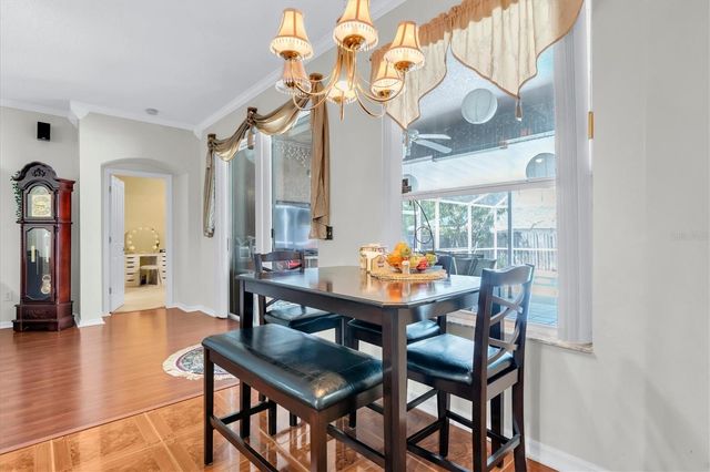 19714 WYNDHAM LAKES DRIVE, Odessa, FL 33556