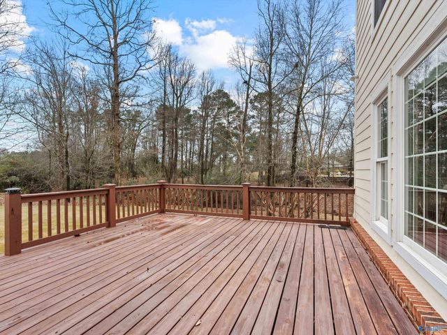 30 Cardinal Drive, Guntersville, AL 35976