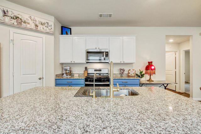 140 Texas Palmetto CIR, Kyle, TX 78640