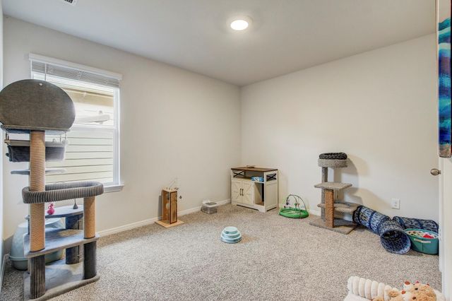 140 Texas Palmetto CIR, Kyle, TX 78640
