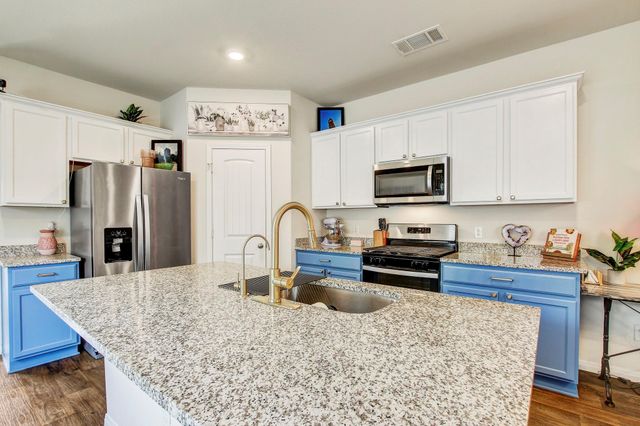 140 Texas Palmetto CIR, Kyle, TX 78640