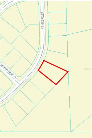 164 GUAVA PASS, Ocklawaha, FL 32179