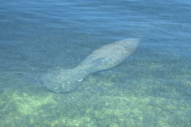 100 List Street, Upper Matecumbe Key Islamorada, FL 33036