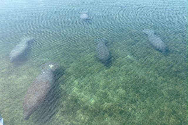 100 List Street, Upper Matecumbe Key Islamorada, FL 33036