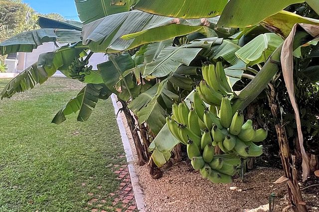 100 List Street, Upper Matecumbe Key Islamorada, FL 33036