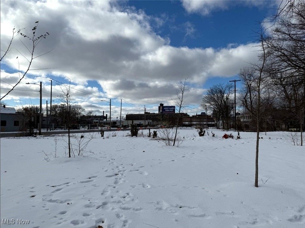 1644 E 49th Street, Cleveland, OH 44103