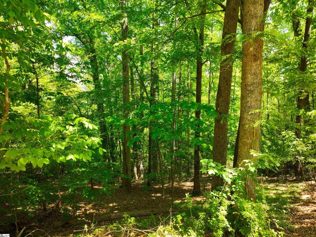 418 Pin Du Lac Drive, Central, SC 29630