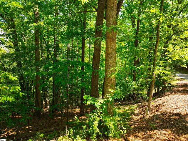 418 Pin Du Lac Drive, Central, SC 29630