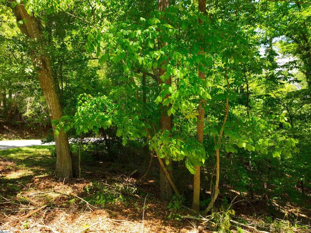 418 Pin Du Lac Drive, Central, SC 29630