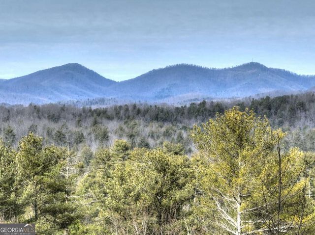 71 Rising Fawn Drive, Mineral Bluff, GA 30559