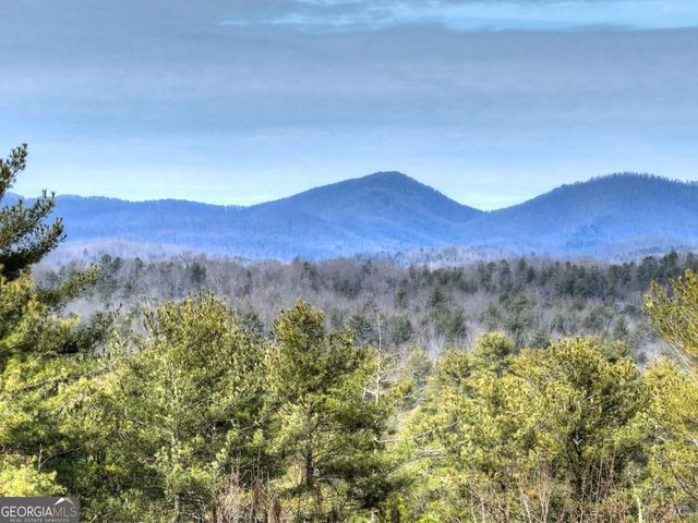 71 Rising Fawn Drive, Mineral Bluff, GA 30559