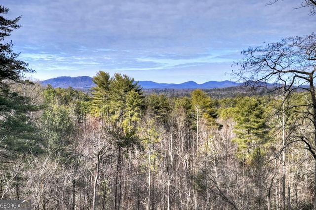 71 Rising Fawn Drive, Mineral Bluff, GA 30559