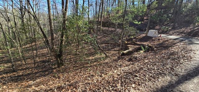 Lot 12 Oak Loop, Mineral Bluff, GA 30559