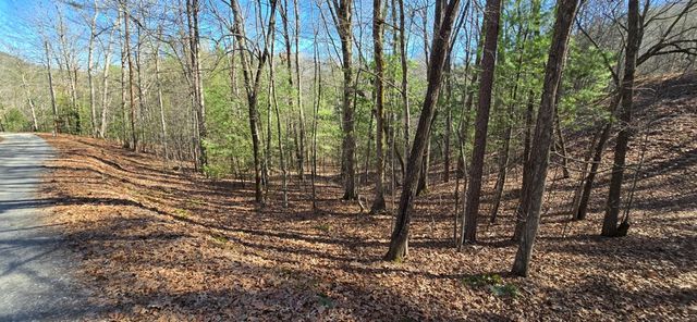 Lot 12 Oak Loop, Mineral Bluff, GA 30559