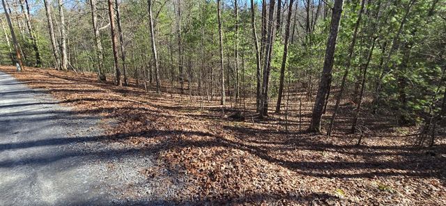 Lot 12 Oak Loop, Mineral Bluff, GA 30559