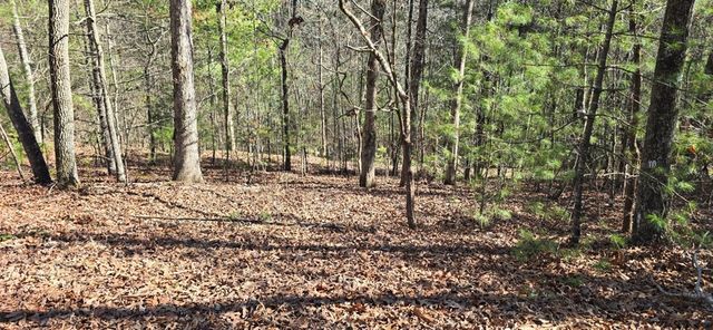 Lot 12 Oak Loop, Mineral Bluff, GA 30559