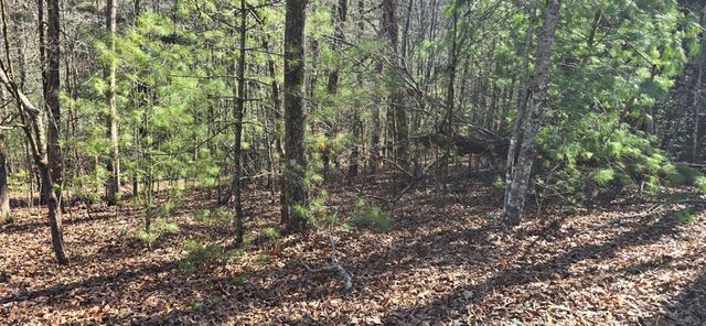 Lot 12 Oak Loop, Mineral Bluff, GA 30559