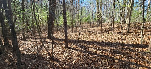 Lot 12 Oak Loop, Mineral Bluff, GA 30559