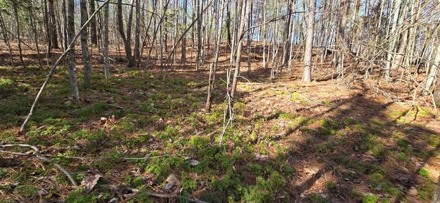 Lot 12 Oak Loop, Mineral Bluff, GA 30559
