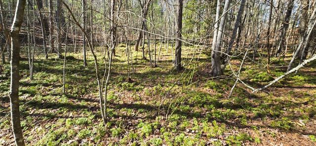 Lot 12 Oak Loop, Mineral Bluff, GA 30559