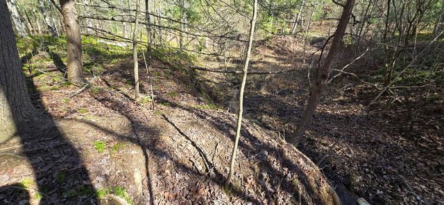 Lot 12 Oak Loop, Mineral Bluff, GA 30559