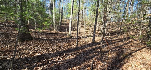 Lot 12 Oak Loop, Mineral Bluff, GA 30559