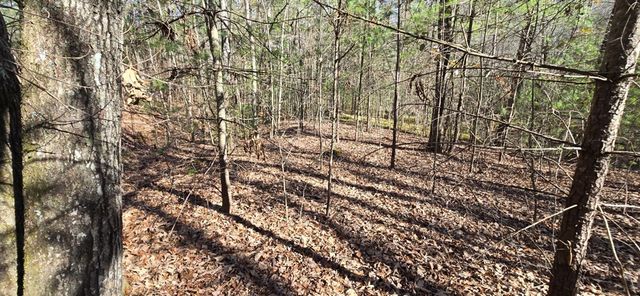 Lot 12 Oak Loop, Mineral Bluff, GA 30559