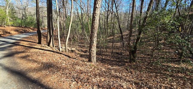 Lot 12 Oak Loop, Mineral Bluff, GA 30559