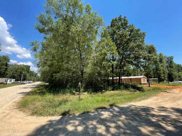 Lot 101 Ithica, Livingston, TX 77351