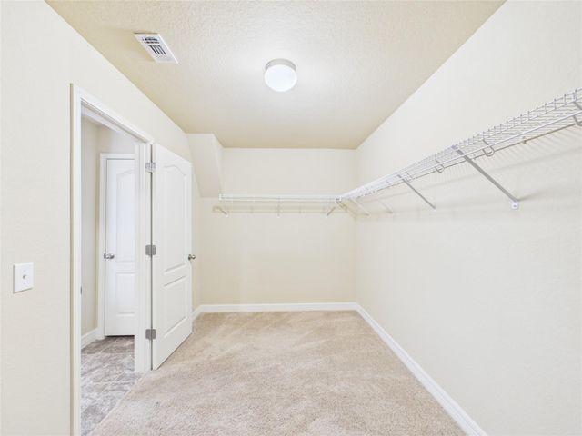 329 Green Heron, New Braunfels, TX 78130