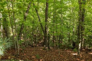 Lot 158 Carriage House Trail, Mcgrady, NC 28649