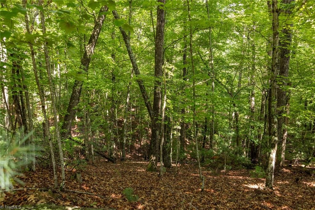 Lot 158 Carriage House Trail, Mcgrady, NC 28649