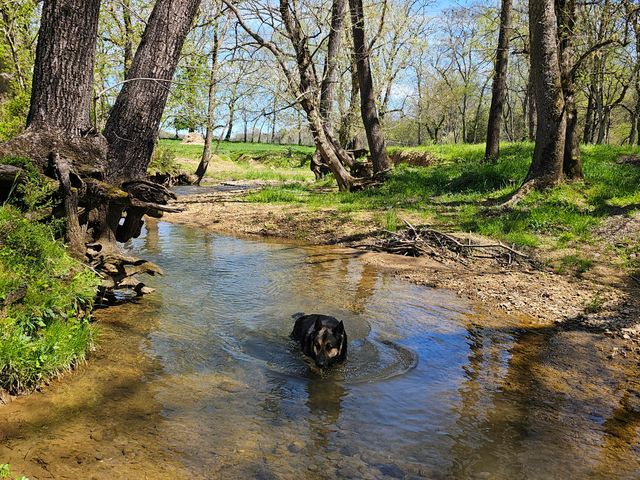 495 Lower East Valley Road, Dunlap, TN 37327