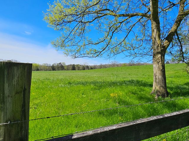 495 Lower East Valley Road, Dunlap, TN 37327