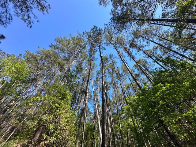 186 Lone Lane Drive, Cope, SC 29038