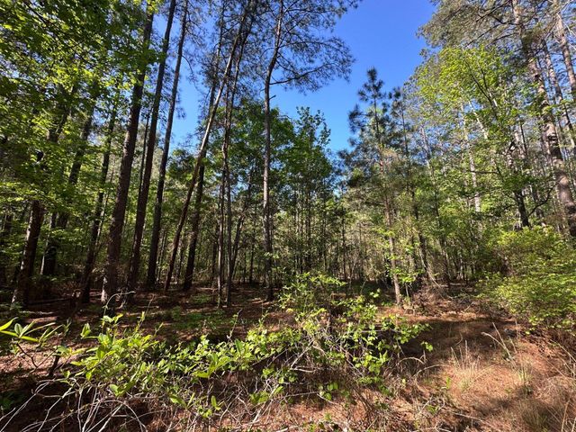 186 Lone Lane Drive, Cope, SC 29038